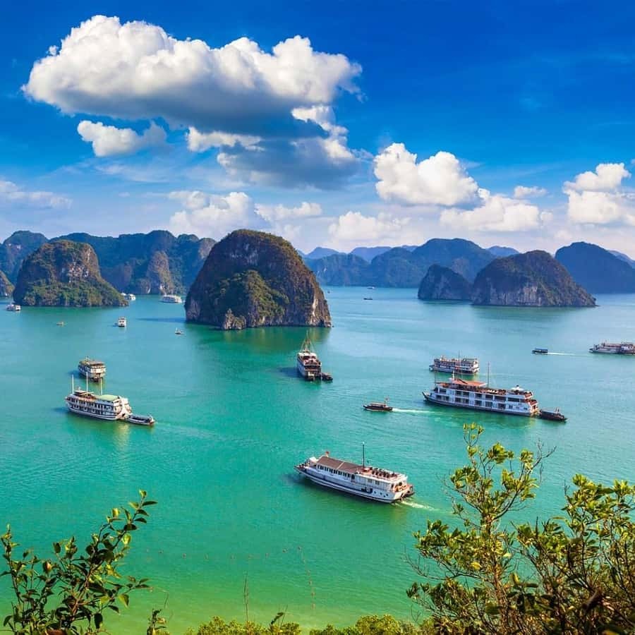 Jade Sail Cruise Halong Bay 1 Day